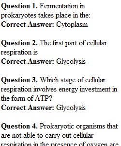 Week 7 Review Quiz